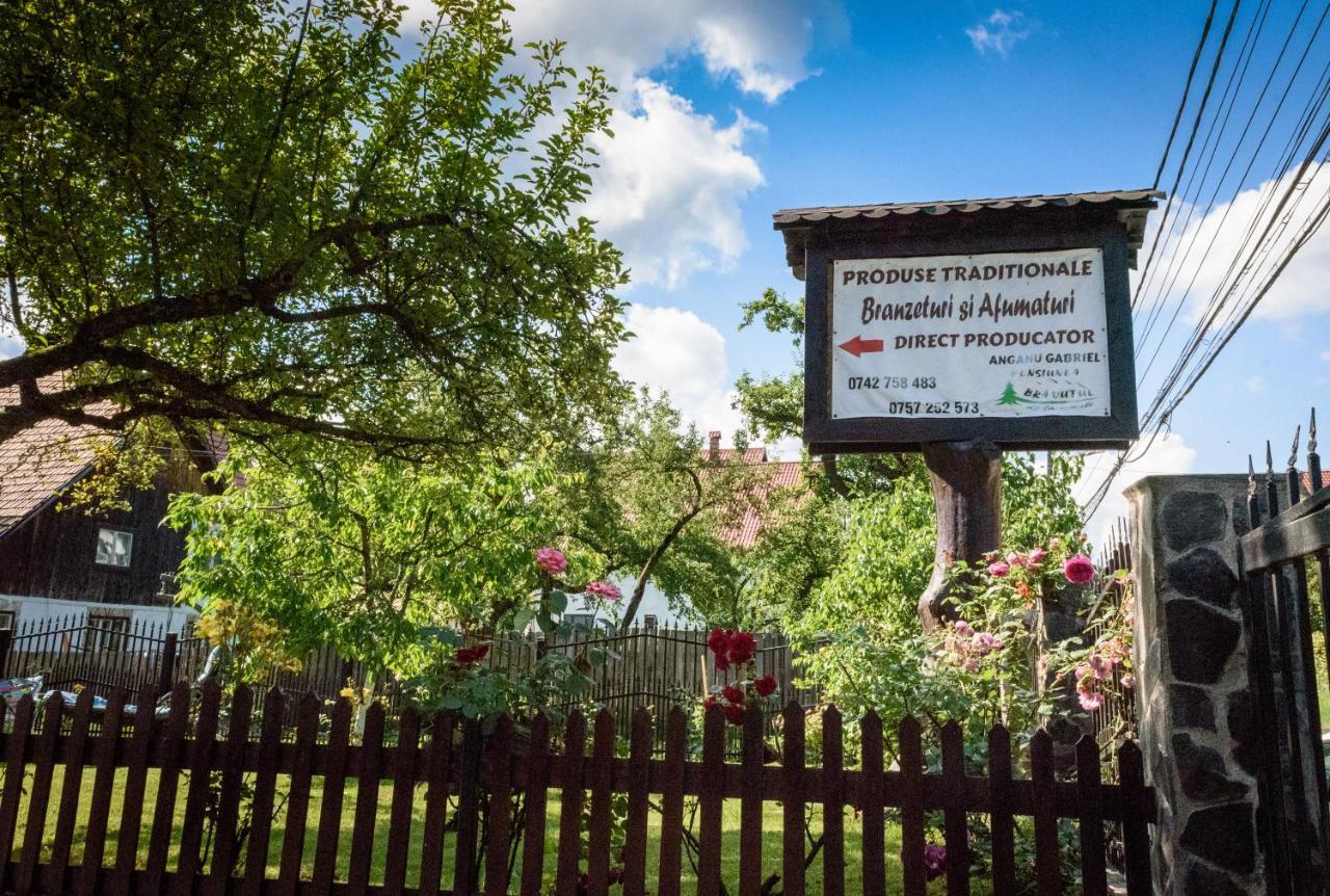 Bradutul De La Munte Villa บราน ภายนอก รูปภาพ